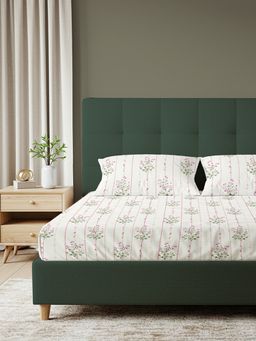 Urban Space - Serene 200 Tc Cotton Bedsheets with Pillow Cover Pink