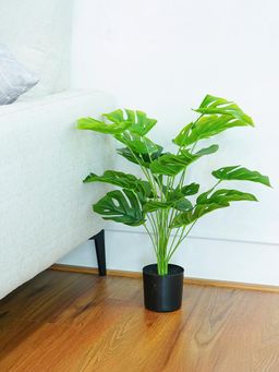Ekhasa - Monstera Bonsai Artificial Plant (2Ft)