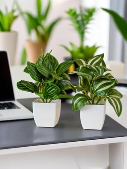 Ekhasa - Green Dracaena Artificial Plants with Pot for Home Decor (Set of 2)