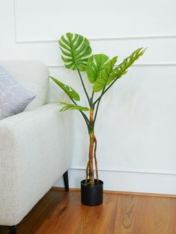 Ekhasa - Monstera Tree Artificial Plant (4Ft)