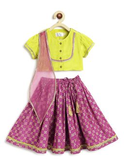 TIBER TABER - Girls Green Lehenga & Choli with Dupatta