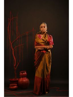 Huts and Looms - Brown Gold Handwoven Tissue Red Border Saree without Blouse