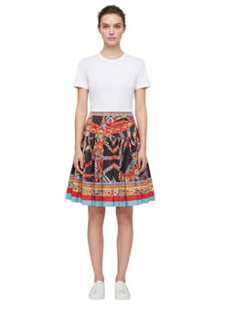 Dolce&Gabbana - Multi-Color Printed Mini Skirt (28)