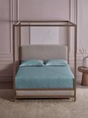 Blue color option, Sold out