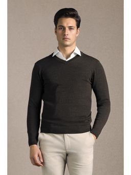 Louis Philippe - Men Brown Solid V Neck Full Sleeves Sweater
