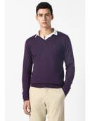 Purple color option, Currently selected