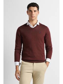 Van Heusen - Men Maroon Textured V Neck Sweater