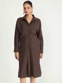 Brown color option, Currently selected