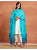 Turquoise color option, Currently selected