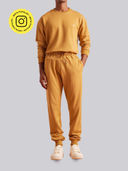 Brown color option, Currently selected