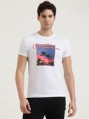 White color option, Sold out
