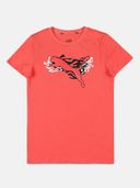 Pink color option, Sold out