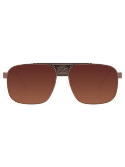 Chilli Beans - Bronze Lens Executive Sunglass Full Rim Brown Frame - Ocmt31035747