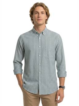 ColorPlus - Men Medium Green Regular Fit Striped Shirt