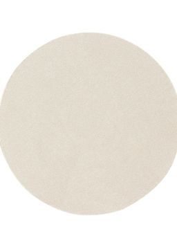 Secrets By ZeroKaata - Women Set of 10 Assorted Disposable Satin Nipple Pasties- Nude (Free Size)