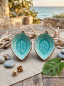 Turquoise color option