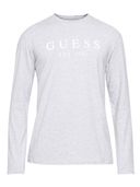 Grey color option, Currently selected