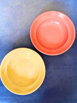 WEAVING HOMES - Rosy Pink & Ivory Pasta Plate (Set of 2)