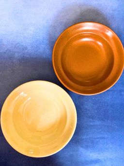 WEAVING HOMES - Rust & Ivory Pasta Plate (Set of 2)