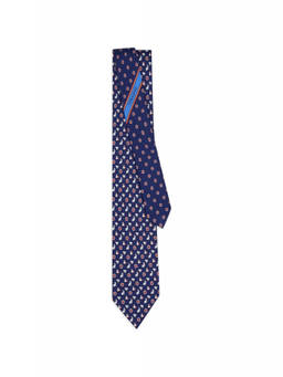 Ferragamo - Blue Printed Tie