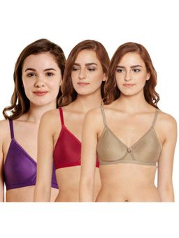 Bodycare - Pack of 3 Seamless Cup Bra In Camel-Dark Purple & Maroon Colour