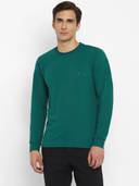 Green color option, Currently selected