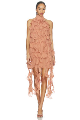 Aniye Records - Gaby Ruffle Dress