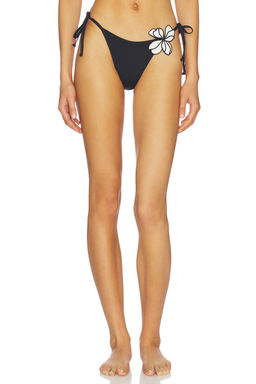 L SPACE - Levy Bottom