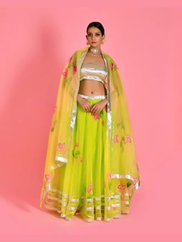 Bannhi - Green Leela Hand Painted Lehenga with Stitched Blouse and Dupatta