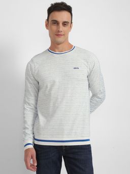 Allen Solly - Men Grey Crew Neck Full Sleeves Casual Sweatshirt