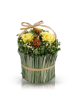 HomeTown - Aura Polyester & Natural Dried Flower Floral Arrangements in Yellow By Living Essence