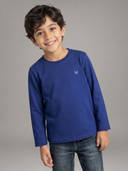 Blue color option, Currently selected