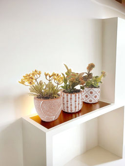 The Better Home - Artificial Flowers Plants with Pot (Set of 3)