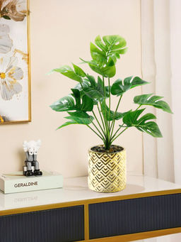 The Better Home - Artificial Green Leaves Plants with Pot
