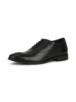 Van Heusen - Mens Black Lace Up Brogues