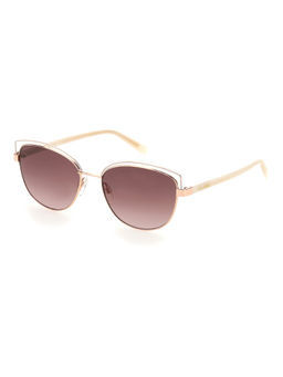 Pierre Cardin - Sunglasses Gold Copp Color 716736219790 (56)
