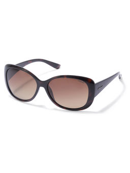 Polaroid - Brown Shaded Polarized Lens Rectangular Sunglass Full-Rim Havana Frame - 2172900Bm58La