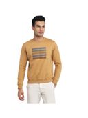 Brown color option, Currently selected