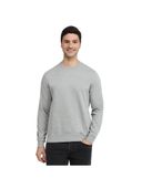Grey color option, Currently selected
