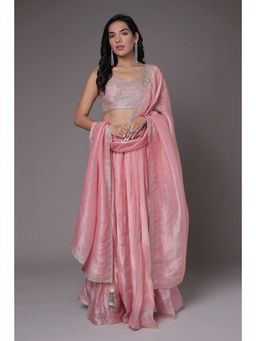 Zari Jaipur - Pink Tissue Embroidered Blouse with Lehenga & Dupatta