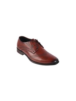 Metro - Men Maroon Formal Brogues