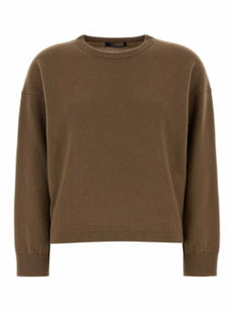 Max Mara - Brown Solid Crew Neck Sweater (XL)