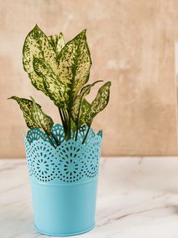 DecorTwist - Metal Planter Pots For Plants Blue