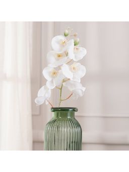 Pure Home + Living - Orchid Ivory Stem