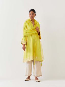 BRIH - Lime Green Embroidered Dupatta