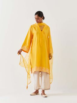BRIH - Mango Yellow Embroidered Dupatta