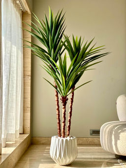 Mason Home - Artificial Yucca Tree (6 Feet)