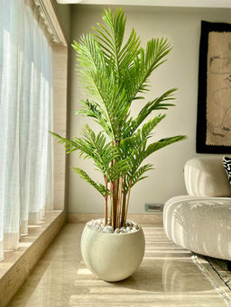 Mason Home - Artificial Bamboo Palm (5 Feet)
