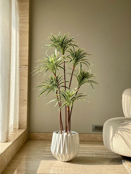 Mason Home - Artificial Spider Palm Tree (4 Feet)
