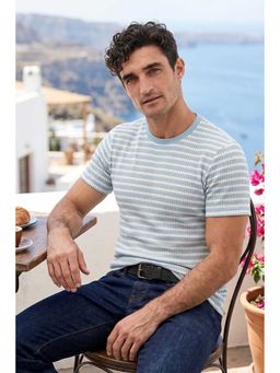 Louis Philippe - Men Light Blue Stripe Crew Neck T-shirt